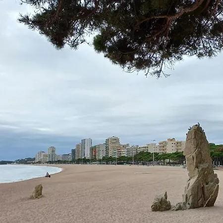 Apartament Platja D'Aro * بلاتجا ذارو